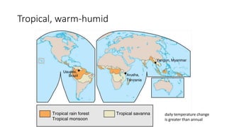 Tropical, warm-humidTropical Climates
daily temperature change
is greater than annual
 
