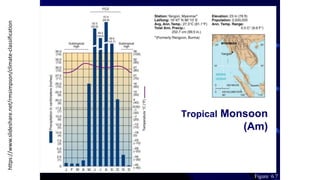https://www.slideshare.net/rmsimpson/climate-classification
Tropical Monsoon
(Am)
Figure 6.7
 