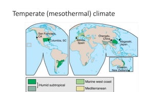 Temperate (mesothermal) climateMesothermal Climates
 