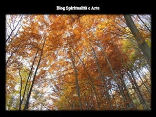 Duomo di Orvieto (particolare) -
Nicola d'Alessio
 