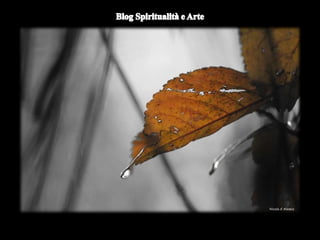 Duomo di Orvieto (particolare) -
Nicola d'Alessio
 