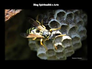 Duomo di Orvieto (particolare) -
Nicola d'Alessio
 