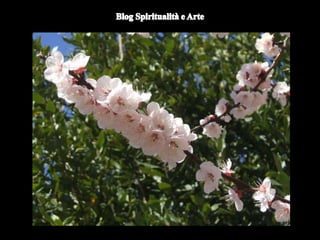 Duomo di Orvieto (particolare) -
Nicola d'Alessio
 