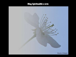 Duomo di Orvieto (particolare) -
Nicola d'Alessio
 