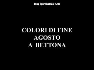 Du
omo di Orvieto (particolare) - Nicola
d'Alessio
COLORI DI FINE
AGOSTO
A BETTONA
 