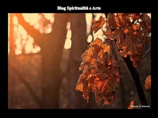 Duomo di Orvieto (particolare) -
Nicola d'Alessio
 