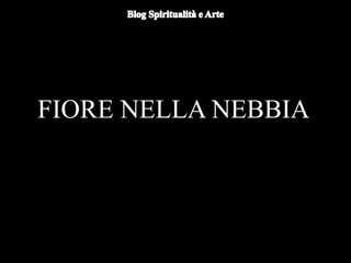 FIORE NELLA NEBBIA
 