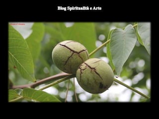 Duomo di Orvieto (particolare) -
Nicola d'Alessio
 