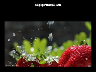 Duomo di Orvieto (particolare) -
Nicola d'Alessio
 