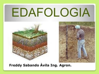 EDAFOLOGIA
Freddy Sabando Ávila Ing. Agron.
 