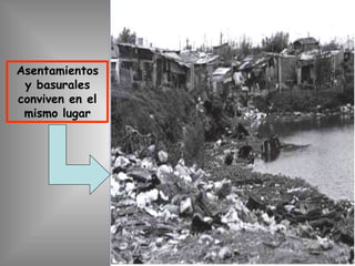 Asentamientos
y basurales
conviven en el
mismo lugar
 