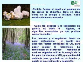 18
18
RECICLAJE:
-Recicla. Separa el papel y el plástico de
los restos de alimentos, tanto en casa
como en el colegio o instituto. Cada
residuo tiene su contenedor.
VEGETACIÓN:
- Cuida los bosques y la vegetación en
general no dejes ni fogatas, ni
cigarrillos encendidos ya que podrían
causar incendio.
Los bosques y la vegetación tienen un
papel protagonista en cuanto que
absorben fuertes cantidades de CO2 para
poder realizar la fotosíntesis. La
fotosíntesis es el proceso mediante el
cual los vegetales utilizan la energía de la
luz para transformar el CO2 que captan del
ambiente para guardarlo en su interior y
usarlo en su crecimiento y desarrollo.
 