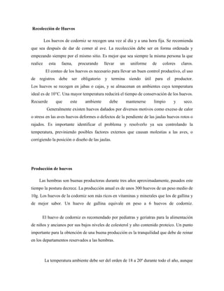 Recolección de Huevos
Los huevos de codorniz se recogen una vez al día y a una hora fija. Se recomienda
que sea después de dar de comer al ave. La recolección debe ser en forma ordenada y
empezando siempre por el mismo sitio. Es mejor que sea siempre la misma persona la que
realice esta faena, procurando llevar un uniforme de colores claros.
El conteo de los huevos es necesario para llevar un buen control productivo, el uso
de registros debe ser obligatorio y termina siendo útil para el productor.
Los huevos se recogen en jabas o cajas, y se almacenan en ambientes cuya temperatura
ideal es de 10°C. Una mayor temperatura reducirá el tiempo de conservación de los huevos.
Recuerde que este ambiente debe mantenerse limpio y seco.
Generalmente existen huevos dañados por diversos motivos como exceso de calor
o stress en las aves huevos deformes o defectos de la pendiente de las jaulas huevos rotos o
rajados. Es importante identificar el problema y resolverlo ya sea controlando la
temperatura, previniendo posibles factores externos que causan molestias a las aves, o
corrigiendo la posición o diseño de las jaulas.
Producción de huevos
Las hembras son buenas productoras durante tres años aproximadamente, pasados este
tiempo la postura decrece. La producción anual es de unos 300 huevos de un peso medio de
10g. Los huevos de la codorniz son más ricos en vitaminas y minerales que los de gallina y
de mejor sabor. Un huevo de gallina equivale en peso a 6 huevos de codorniz.
El huevo de codorniz es recomendado por pediatras y geriatras para la alimentación
de niños y ancianos por sus bajos niveles de colesterol y alto contenido proteico. Un punto
importante para la obtención de una buena producción es la tranquilidad que debe de reinar
en los departamentos reservados a las hembras.
La temperatura ambiente debe ser del orden de 18 a 20º durante todo el año, aunque
 