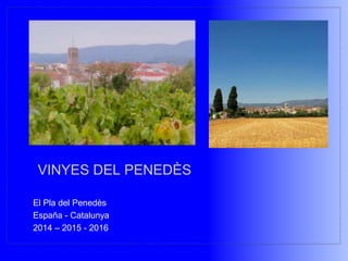 El Pla del Penedès
España - Catalunya
2014 – 2015 - 2016
VINYES DEL PENEDÈS
 