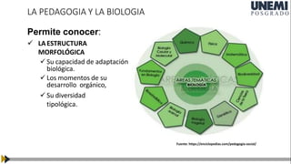 Permite conocer:
 LAESTRUCTURA
MORFOLÓGICA
 Su capacidad de adaptación
biológica.
 Los momentos de su
desarrollo orgánico,
 Su diversidad
tipológica.
LA PEDAGOGIA Y LA BIOLOGIA
Fuente: https://enciclopedias.com/pedagogia-social/
 