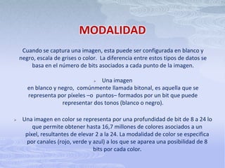 CALIDADLa calidad de la imagen conjuga un amplio número de variables, porque se trata no solo de las características de la captura, partiendo de las condiciones del original, sino del dispositivo de salida que se tenga previsto para la imagen.    Las políticas normales han limitado el tamaño de los ficheros reduciendo la resolución, la profundidad de bits y haciendo uso de la compresión. El objetivo es aumentar la velocidad de entrega, sin comprometer demasiado la calidad de la imagen.