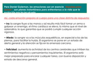 Para Daniel Goleman, las emociones son en esencia” impulsos para
actuar”, son planes instantáneos para enfrentarnos a la vida que la
evolución nos ha inculcado.

Así, cada emoción prepara al cuerpo para una clase distinta de respuesta:

• Ira: la sangre fluye a las manos y así resulta más fácil tomar un arma o
golpear un enemigo, el ritmo cardíaco se eleva, lo mismo que el nivel de
adrenalina, lo que garantiza que se podrá cumplir cualquier acción
vigorosa.

• Miedo: la sangre va a los músculos esqueléticos, en especial a los de las
piernas, para facilitar la huida. El organismo se pone en un estado de
alerta general y la atención se fija en la amenaza cercana.

• Felicidad: aumenta la actividad de los centros cerebrales que inhiben los
sentimientos negativos y pensamientos inquietantes. El organismo está
mejor preparado para encarar cualquier tarea, con buena disposición y
estado de descanso general.
 
