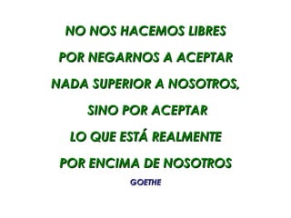 NO NOS HACEMOS LIBRES

 POR NEGARNOS A ACEPTAR

NADA SUPERIOR A NOSOTROS,

    SINO POR ACEPTAR

  LO QUE ESTÁ REALMENTE

 POR ENCIMA DE NOSOTROS
          GOETHE
 