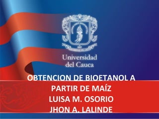 OBTENCION DE BIOETANOL A
PARTIR DE MAÍZ
LUISA M. OSORIO
JHON A. LALINDE
 