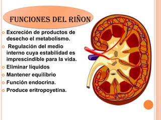 FUNCIONES DEL RIÑON
 Excreción de productos de
desecho el metabolismo.
 Regulación del medio
interno cuya estabilidad es
imprescindible para la vida.
 Eliminar líquidos
 Mantener equilibrio
 Función endocrina.
 Produce eritropoyetina.
 