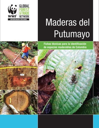 Maderas del
Putumayo
Fichas técnicas para la identificación
de especies maderables de Colombia
 