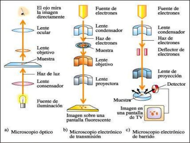 Imagen relacionada