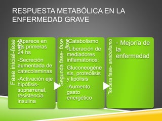 RESPUESTA METABÓLICA EN LA
ENFERMEDAD GRAVE
Faseinicial-fase
ebb
-Aparece en
las primeras
24 hs
-Secreción
aumentada de
catecolaminas
-Activación eje
hipófisis-
suprarrenal,
resistencia
insulina
Segundafase-fase
flow
-Catabolismo
-Liberación de
mediadores
inflamatorios:
Gluconeogéne
sis, proteólisis
y lipólisis
-Aumento
gasto
energético
Tercerafase-anabolismo
- Mejoría de
la
enfermedad
 
