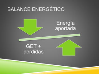BALANCE ENERGÉTICO
Energía
aportada
GET +
perdidas
 