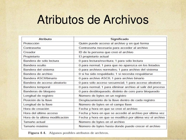 Sistema de Archivos