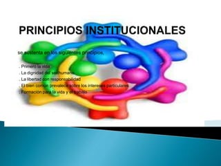 se sustenta en los siguientes principios,
. Primero la vida
. La dignidad del ser humano
. La libertad con responsabilidad
. El bien común prevalece sobre los intereses particulares
. Formación para la vida y el trabajo
 