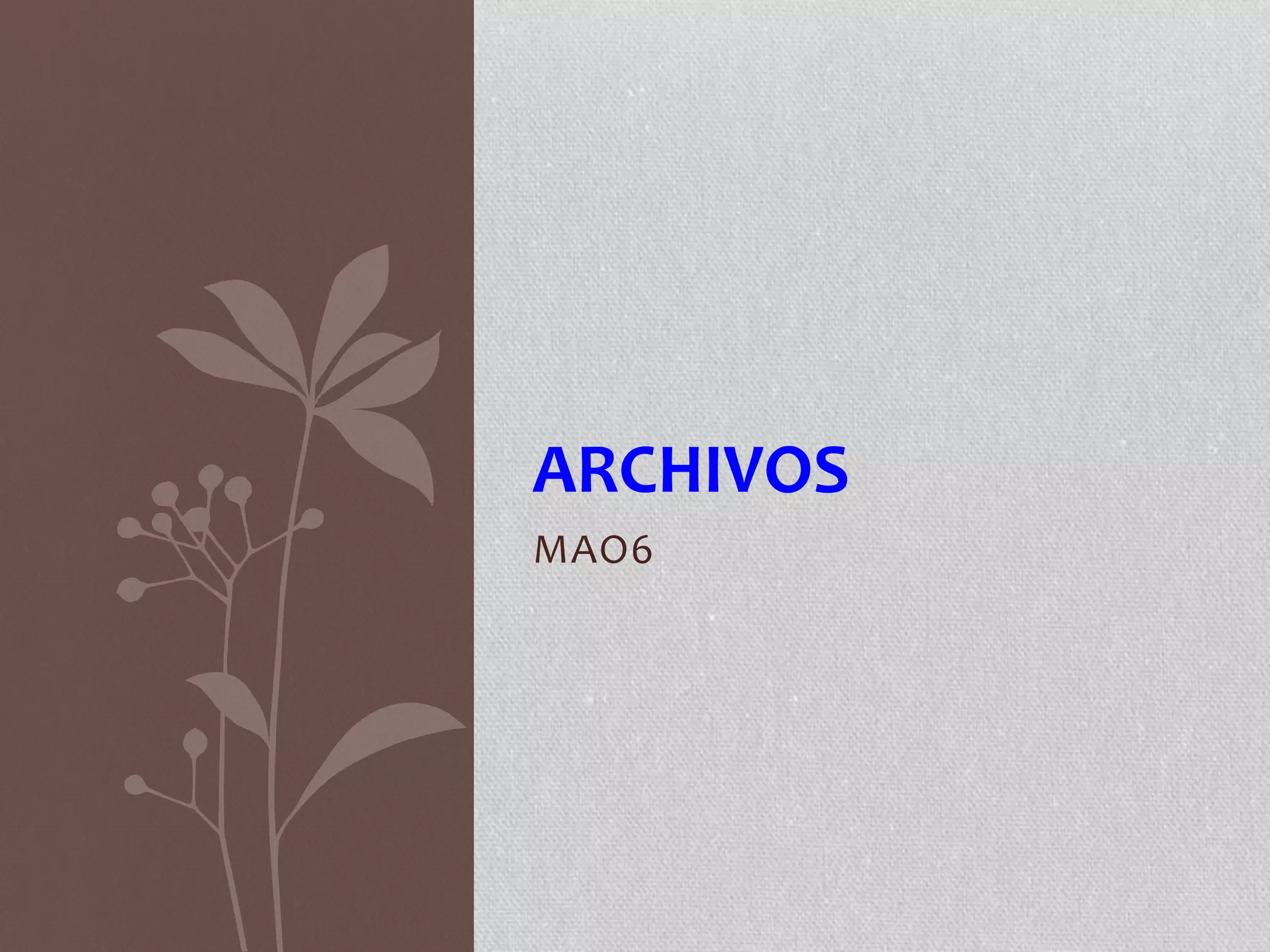 MAO6
ARCHIVOS
