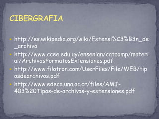 PSD: archivo de mapa de bits hecho con Adobe Photoshop. Se ejecuta con esta aplicación o con un visor de gráficos, como ACDSee.