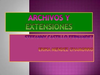 ARCHIVOS YEXTENSIONES  STEFANNY CASTILLO FERNANDEZ  ERIKA MENDEZ CHAMORRO 