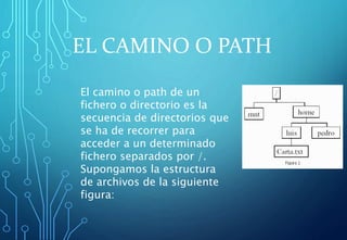 EL CAMINO O PATH
El camino o path de un
fichero o directorio es la
secuencia de directorios que
se ha de recorrer para
acceder a un determinado
fichero separados por /.
Supongamos la estructura
de archivos de la siguiente
figura:
 