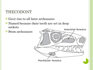 Archosaurs | PPT