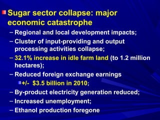 Sugar sector collapse: major 
economic catastrophe 
– Regional and local development impacts; 
– Cluster of input-providing and output 
processing activities collapse; 
– 32.1% increase in idle farm land (to 1.2 million 
hectares); 
– Reduced foreign exchange earnings 
+/- $3.5 billion in 2010; 
– By-product electricity generation reduced; 
– Increased unemployment; 
– Ethanol production foregone 
 