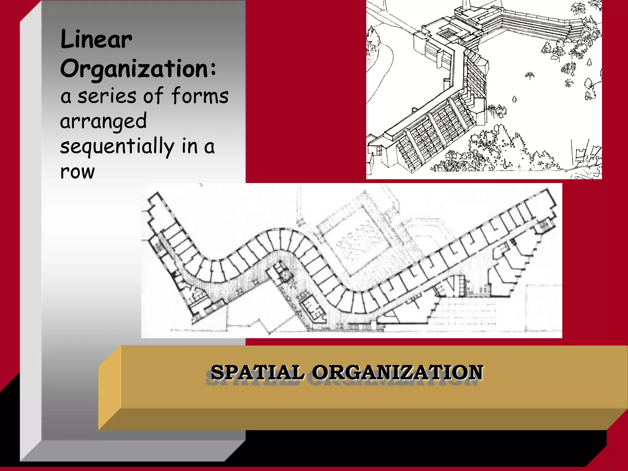 SPATIAL ORGANIZATION
Linear
Organization:
a series of forms
arranged
sequentially in a
row
 