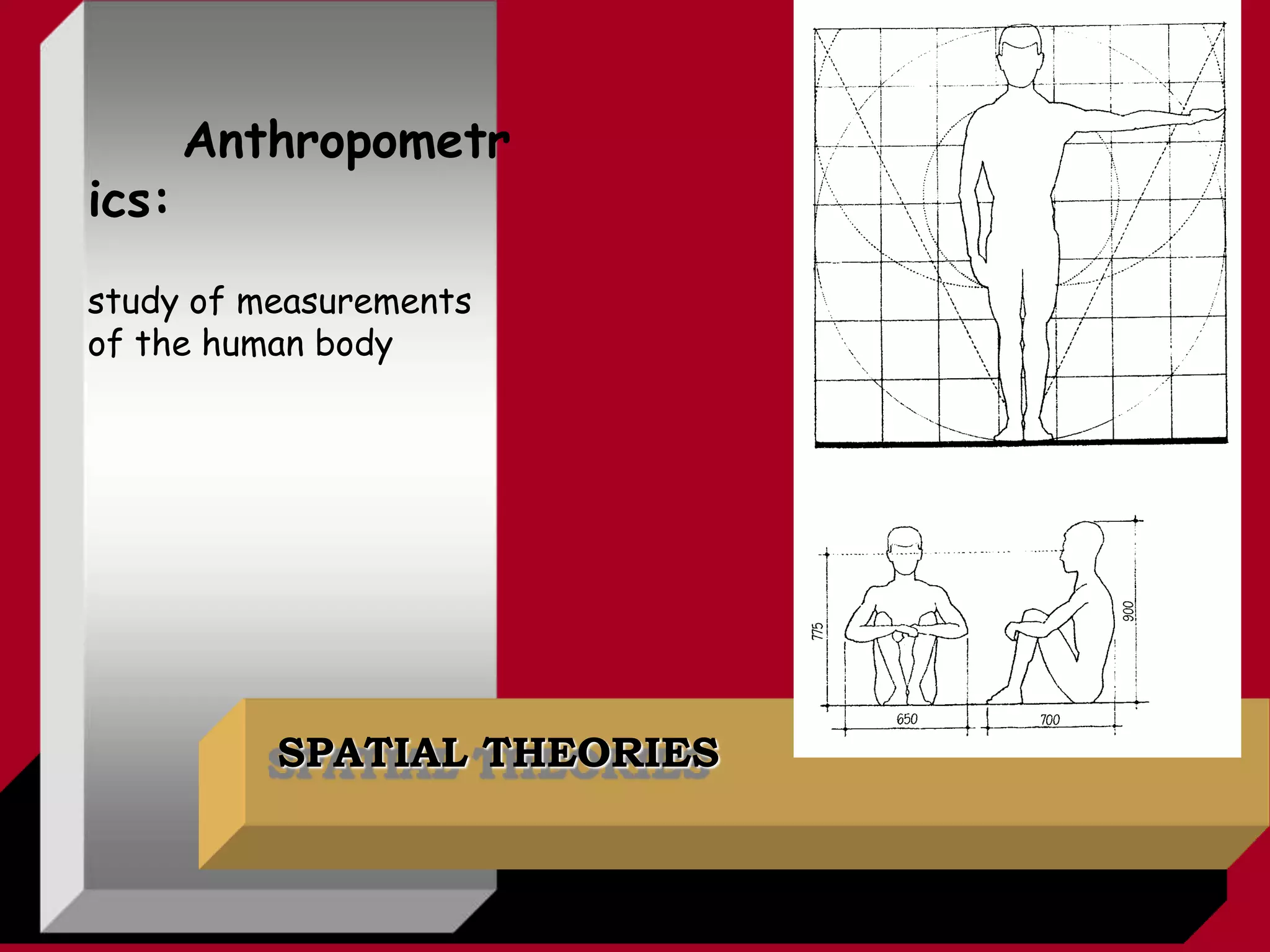 SPATIAL THEORIES
Anthropometr
ics:
study of measurements
of the human body
 