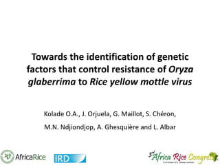 Towards the identification of genetic
factors that control resistance of Oryza
glaberrima to Rice yellow mottle virus
Kolade O.A., J. Orjuela, G. Maillot, S. Chéron,
M.N. Ndjiondjop, A. Ghesquière and L. Albar

 
