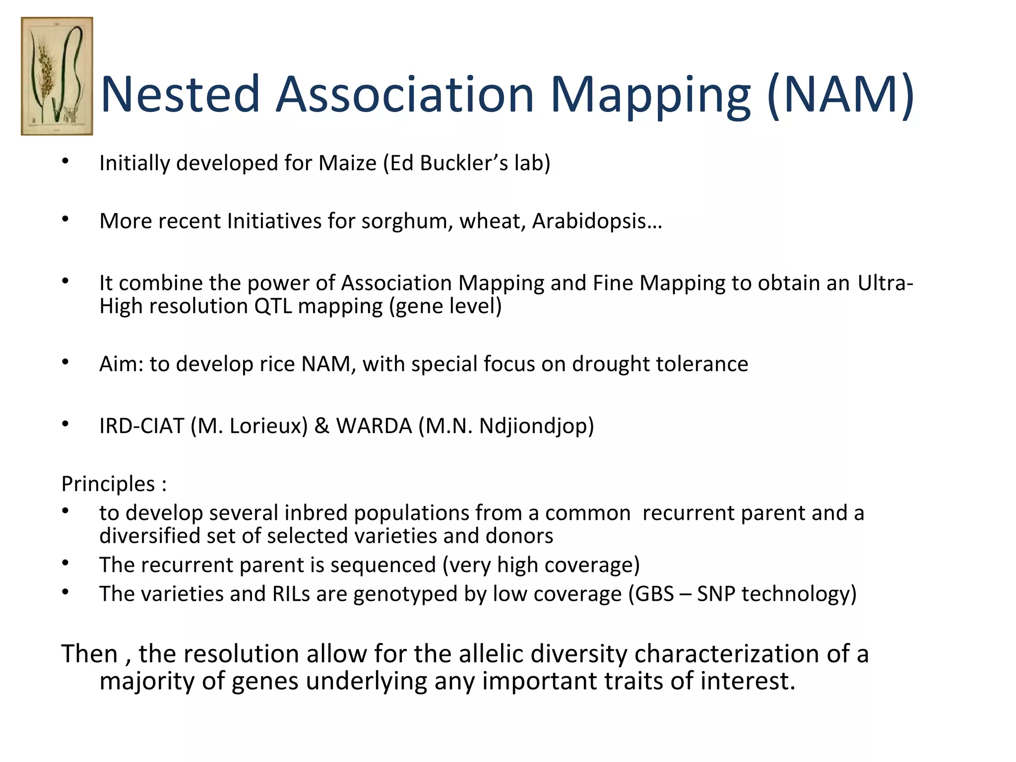 Nested Association Mapping (NAM)
•

Initially developed for Maize (Ed Buckler’s lab)

•

More recent Initiatives for sorghum, wheat, Arabidopsis…

•

It combine the power of Association Mapping and Fine Mapping to obtain an UltraHigh resolution QTL mapping (gene level)

•

Aim: to develop rice NAM, with special focus on drought tolerance

•

IRD-CIAT (M. Lorieux) & WARDA (M.N. Ndjiondjop)

Principles :
• to develop several inbred populations from a common recurrent parent and a
diversified set of selected varieties and donors
• The recurrent parent is sequenced (very high coverage)
• The varieties and RILs are genotyped by low coverage (GBS – SNP technology)

Then , the resolution allow for the allelic diversity characterization of a
majority of genes underlying any important traits of interest.

 