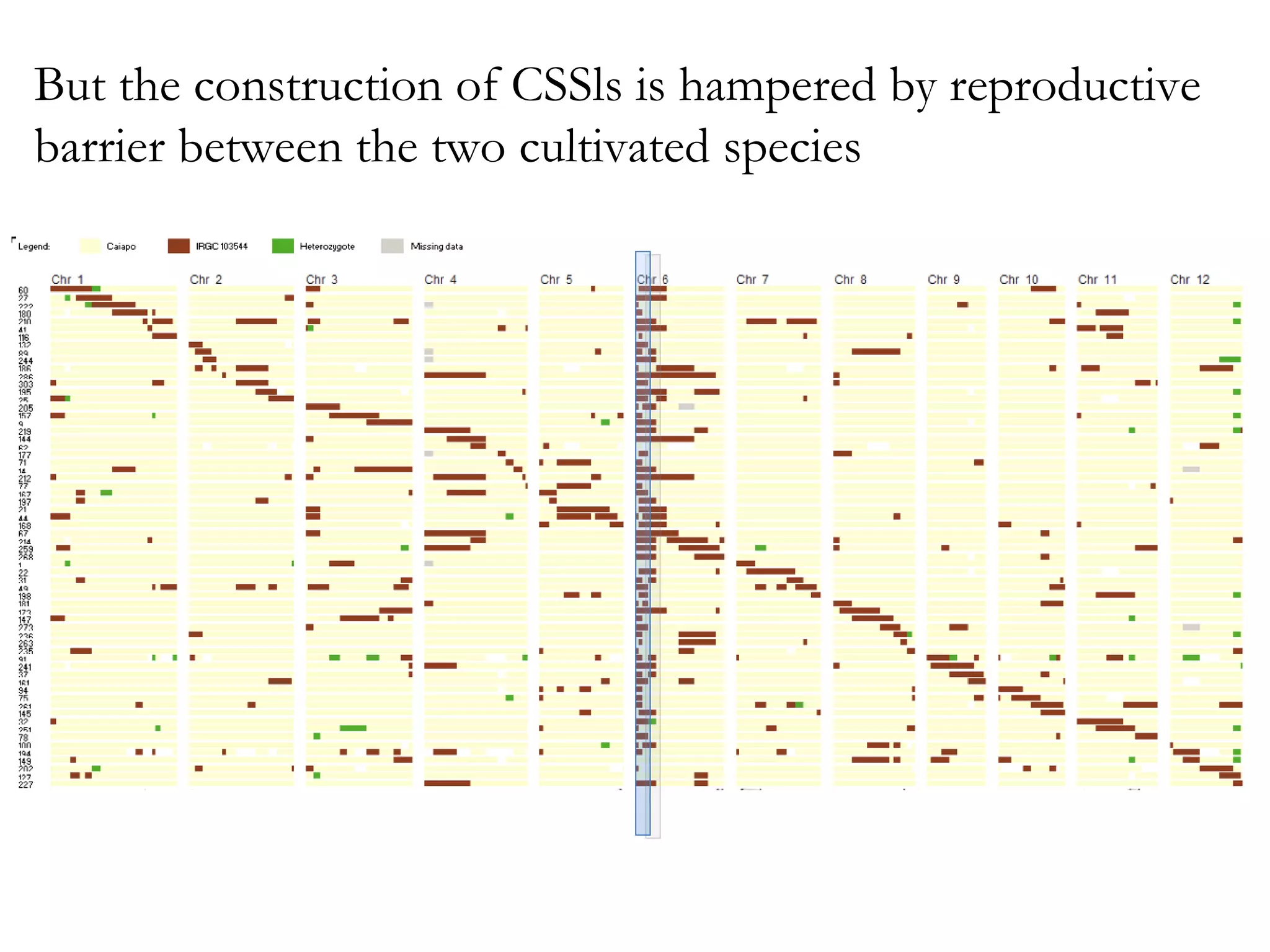 But the construction of CSSls is hampered by reproductive
barrier between the two cultivated species

 