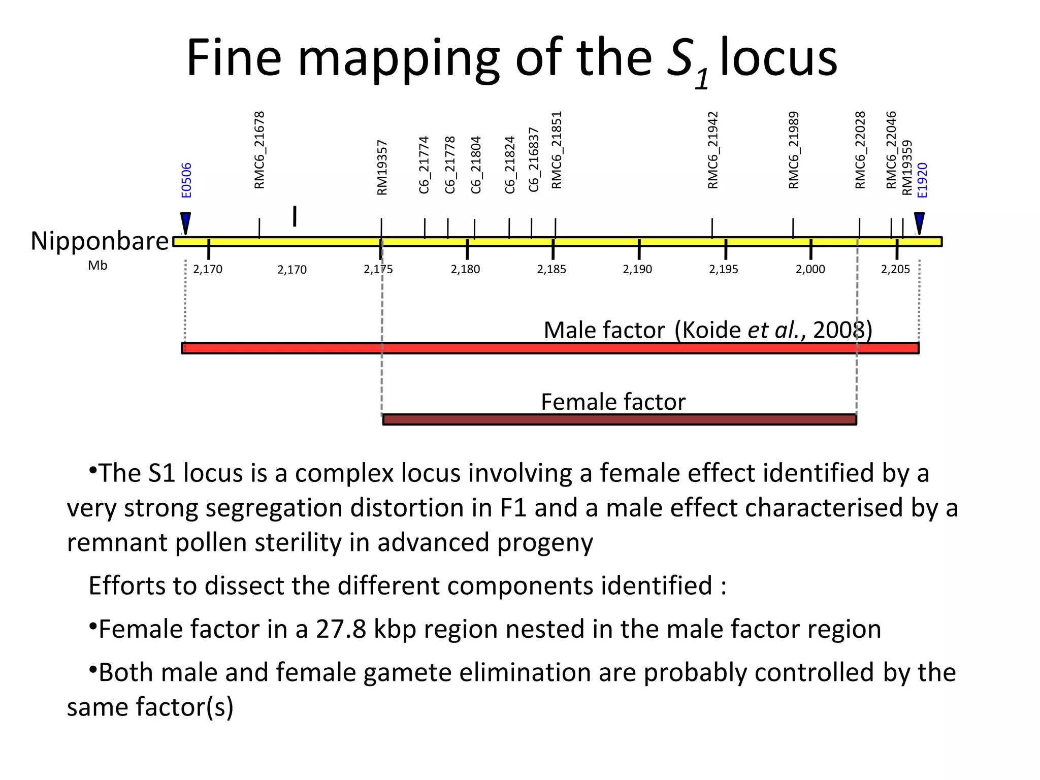 RMC6_22046
RM19359
E1920

RMC6_22028

RMC6_21989

RMC6_21942

RMC6_21851

C6_216837

C6_21824

C6_21804

C6_21778

C6_21774

RM19357

RMC6_21678

E0506

Fine mapping of the S1 locus
Nipponbare
Mb

2,170

2,170

2,175

2,180

2,185

2,190

2,195

2,000

2,205

Male factor (Koide et al., 2008)
Female factor

•The S1 locus is a complex locus involving a female effect identified by a
very strong segregation distortion in F1 and a male effect characterised by a
remnant pollen sterility in advanced progeny
Efforts to dissect the different components identified :
•Female factor in a 27.8 kbp region nested in the male factor region
•Both male and female gamete elimination are probably controlled by the
same factor(s)

 