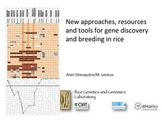 New approaches, resources
and tools for gene discovery
and breeding in rice

Alain Ghesquière/M. Lorieux

 