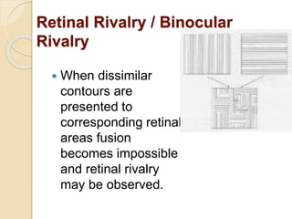 Retinal Rivalry / Binocular
Rivalry
 When dissimilar
contours are
presented to
corresponding retinal
areas fusion
becomes impossible
and retinal rivalry
may be observed.
 