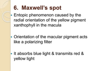 6. Maxwell’s spot
 Entopic phenomenon caused by the
radial orientation of the yellow pigment
xanthophyll in the macula
 Orientation of the macular pigment acts
like a polarizing filter
 It absorbs blue light & transmits red &
yellow light
 