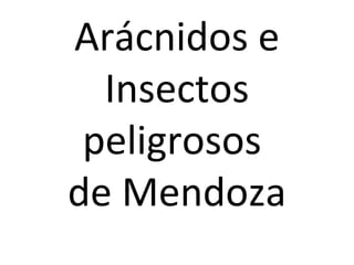 Arácnidos e
Insectos
peligrosos
de Mendoza

 