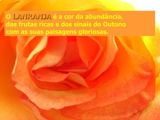 O LANRANJA é a cor da abundância,
das frutas ricas e dos sinais do Outono
com as suas paisagens gloriosas.
 