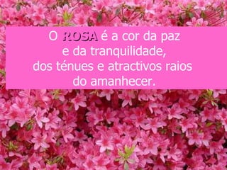 O ROSA é a cor da paz
     e da tranquilidade,
dos ténues e atractivos raios
       do amanhecer.
 