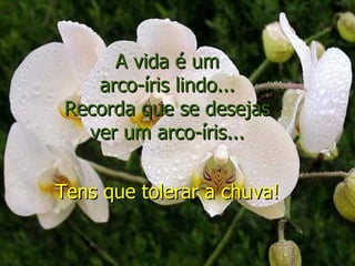 A vida é um
   arco-íris lindo...
Recorda que se desejas
  ver um arco-íris...


Tens que tolerar a chuva!
 