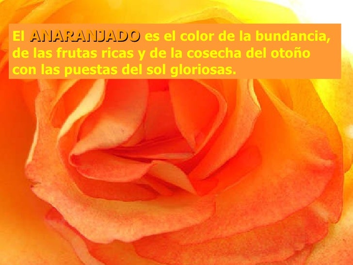 Imagen relacionada